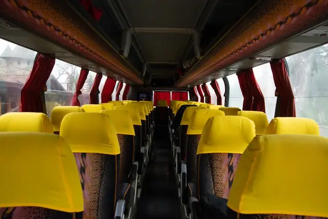 Formation Bachelor management transport de voyageurs